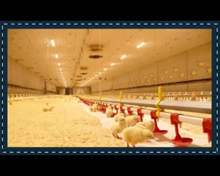 Poultry Farm House Evaporative Air Cooling Cell Pad System Buy