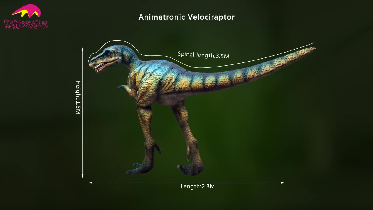 real life size of velociraptor