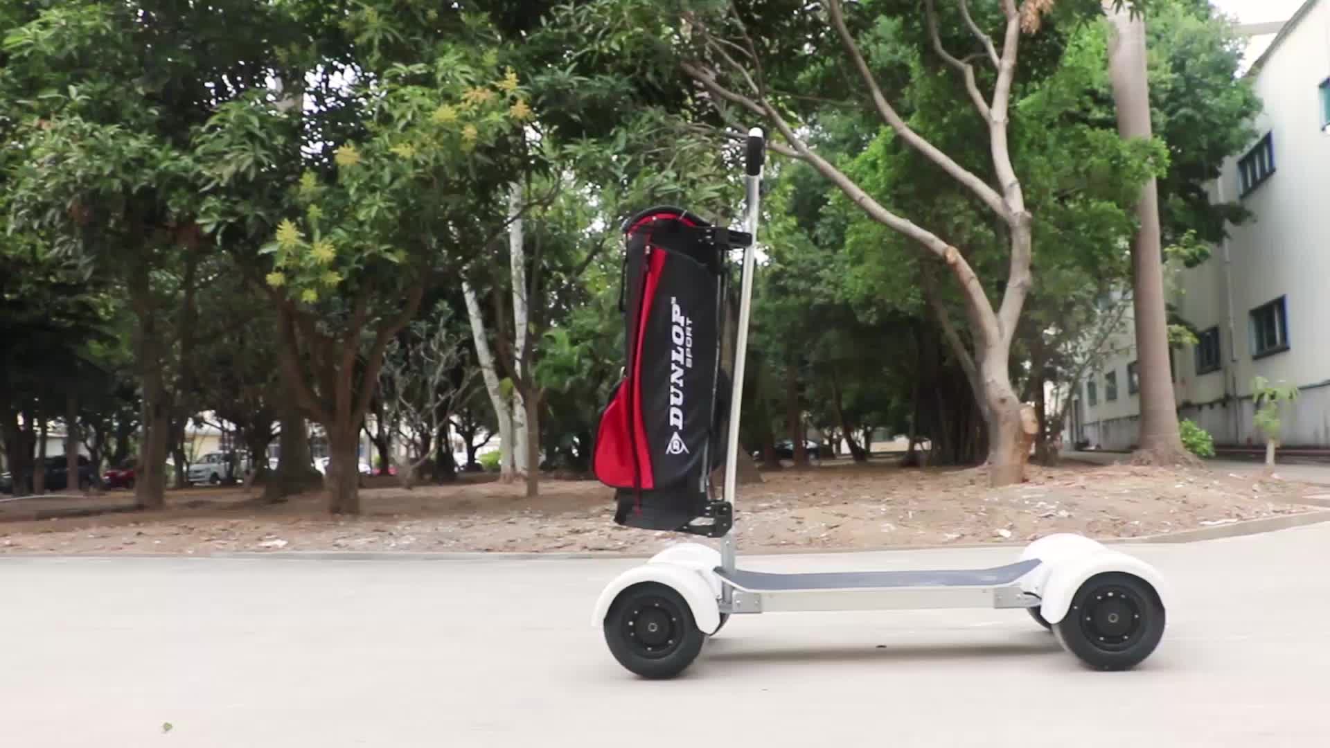 Ecorider Electric Longboard,Adult Electric Skateboard E72,Off Road