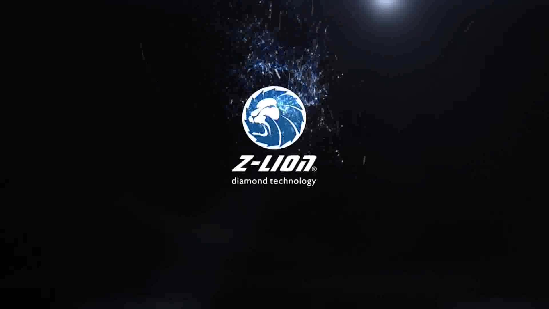 Алмазные диски для резки гранита песчаника Z-LION дюйма 125 мм