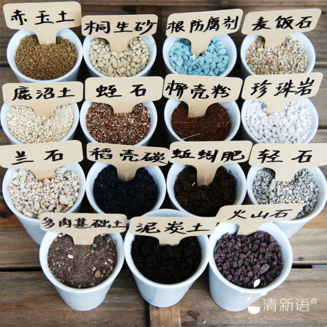 15合1独家配制 多肉植物专用营养土 幼苗生长