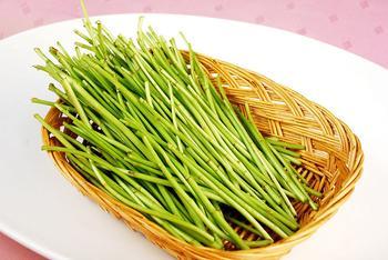 超受欢迎新鲜蔬菜野菜芦蒿 蒌蒿水艾 藜蒿柳叶