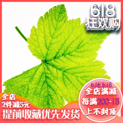 Germany Spot Small Green ye 100ml Specific picture Consultation customer service Confirmin the Toy/Childs/Puzzle/Building block/Model , Painting Supplies , Pigment category - from Buy2taobao.com to provide professional Taobao agent buy service