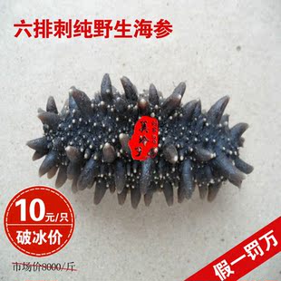  真正俄罗斯野生淡干海参干货 辽刺参批发 绝对不含糖 海参宝宝