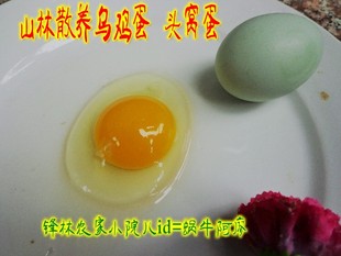  武夷山山林散养土鸡蛋乌鸡蛋 正宗乌鸡头窝蛋绿壳蛋 数量有限哦~~