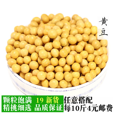 黄豆500g散装东北农家自种打豆浆发豆芽大豆子豆类杂粮五谷批发