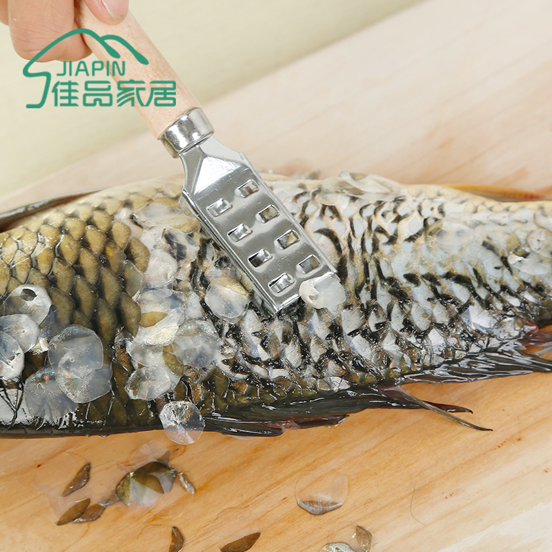 日本ECHO 鱼鳞刮 刮鱼鳞器不锈钢 去鱼鳞刨刀 鱼鳞刷 去鱼鳞工具|msdalam kategori dapur/memasak Appliances, memasak Appliances, alat, Scales mengetam - dari Buy2taobao.com untuk memberikan perkhidmatan ejen Taobao profesional membeli