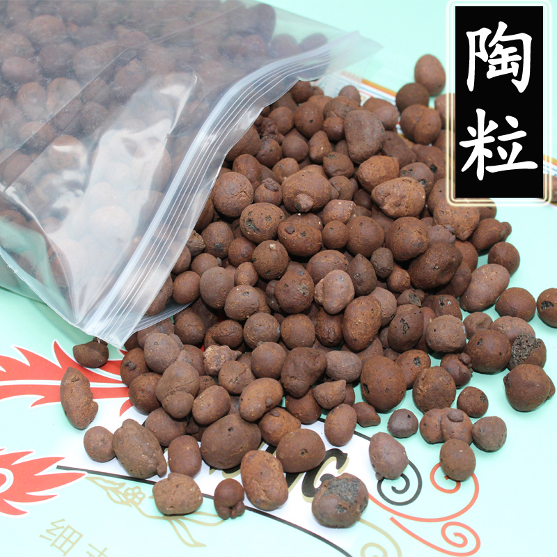 多肉植物陶粒土 花盆垫底增加透气性 园林陶粒球 防烂根约400g|msdalam kategori penghantaran bunga/bunga simulasi/tumbuhan berkebun, Gardening Supplies, baja rumah berkebun/tanah pemakanan/penyelesaian nutrien - dari Buy2taobao.com untuk memberikan perkhidmatan ejen Taobao profesional membeli