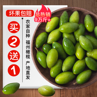 闽臻青橄榄 新鲜橄榄1000g产地直发特产闽清 檀香橄榄 水果橄榄果