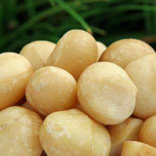  特大颗 坚果 澳洲夏威夷果仁 夏威夷果 果仁 奶油味250g 3件包邮