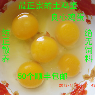  农家散养 生态土鸡蛋 草鸡蛋 树林散养 绿色无污染放心的新鲜鸡蛋