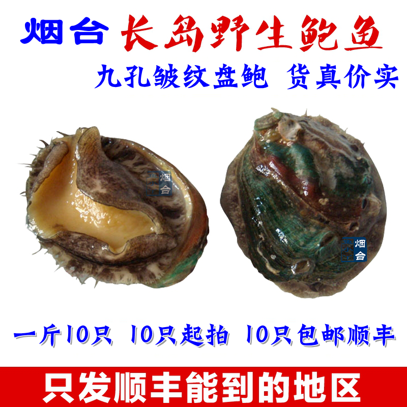 即食鲍鱼高压鲍鱼烟台九孔盘鲍速冻10只包邮顺丰熟鲍鱼海鲜贝类|msdalam kategori daging perikanan/Buah-buahan segar dan sayur-sayuran/dimasak, makanan laut/produk akuatik/produk, kerang, Abalone - dari Buy2taobao.com untuk memberikan perkhidmatan ejen Taobao profesional membeli