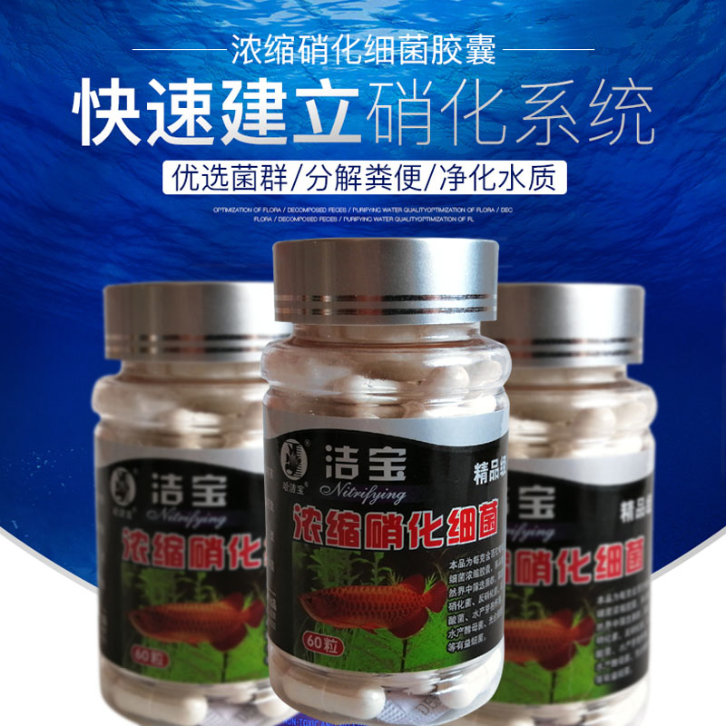 精品60粒消化细菌水族硝化菌包邮干粉鱼缸净化水质养鱼细菌胶囊在类目 宠物/宠物食品及用品, 水族世界, 硝化细菌中 - 来自Buy2taobao.com提供专业的淘宝代购服务