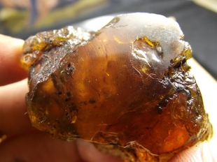  磐石琥珀 N0.4069 天然多米尼加琥珀原石 品质得分：15分 30.16g