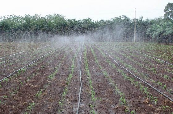 果园菜地自动滴灌设备农用微喷带喷灌滴管园林绿化节水灌溉喷水管|msdalam kategori penghantaran bunga/bunga simulasi/tumbuhan berkebun, Gardening Supplies, ejecta/titisan/kelengkapan, penyambung biasa mudah - dari Buy2taobao.com untuk memberikan perkhidmatan ejen Taobao profesional membeli