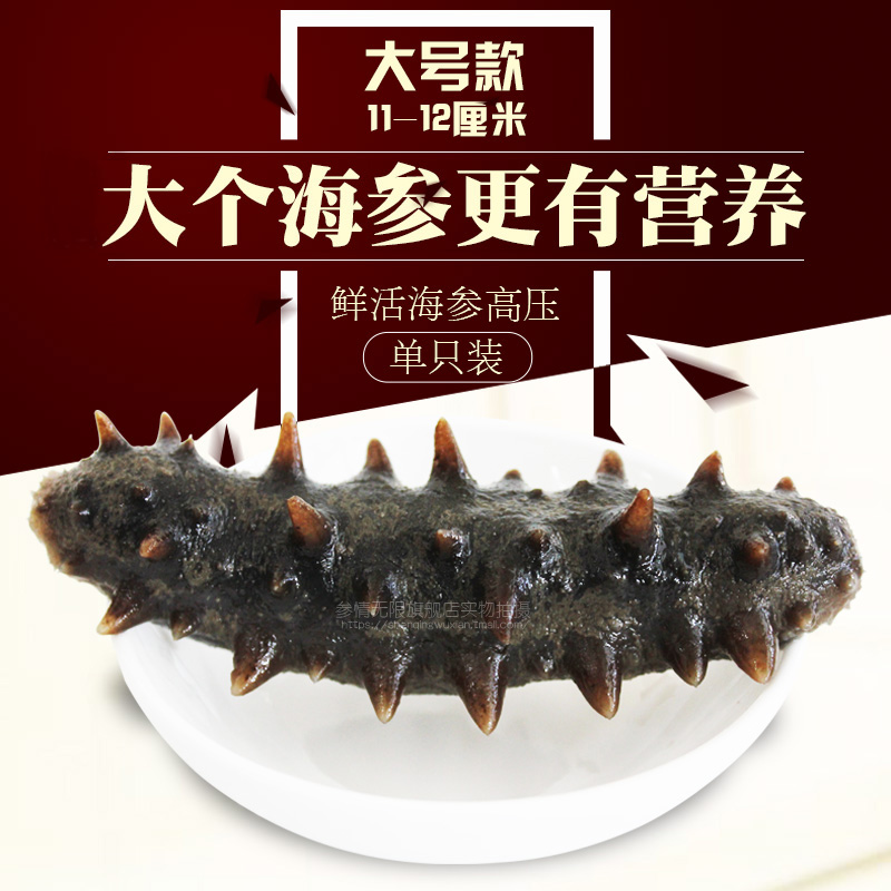 参情无限 即食海参个单只11-12cm高压刺参新鲜深海鲜水产满额包邮在类目 水产肉类/新鲜蔬果/熟食, 海鲜/水产品/制品, 海参中 - 来自Buy2taobao.com提供专业的淘宝代购服务