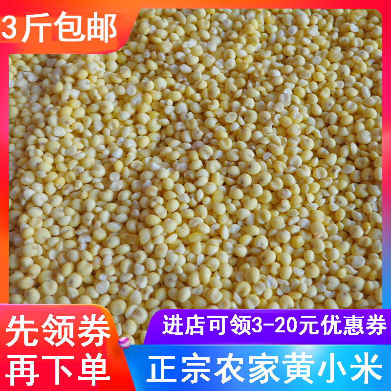 fresh rice Farm millet Glutinous millet foodstuff millet edible millet Northeast Shanxi Northern Shaanxi Chaoyang milletin the Agri rice/Dried foods/Condiment , Meter/Flour/Grains , Rice , Millet category - from Buy2taobao.com to provide professional Taobao agent buy service