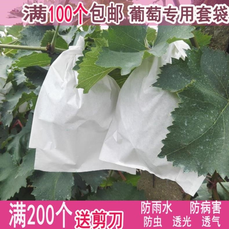 Pest control Portable fruit Bagging paper bag Loquat Cover Apple Orange grape Pipa thickening portable disposablein the Flower delivery/Flowers simulation/Plants gardening , Gardening supplies , Other Garden Supplies category - from Buy2taobao.com to provide professional Taobao agent buy service