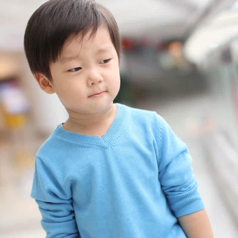 【秋款新品】男童童装 外贸<em>儿童薄款毛衣</em>纯棉