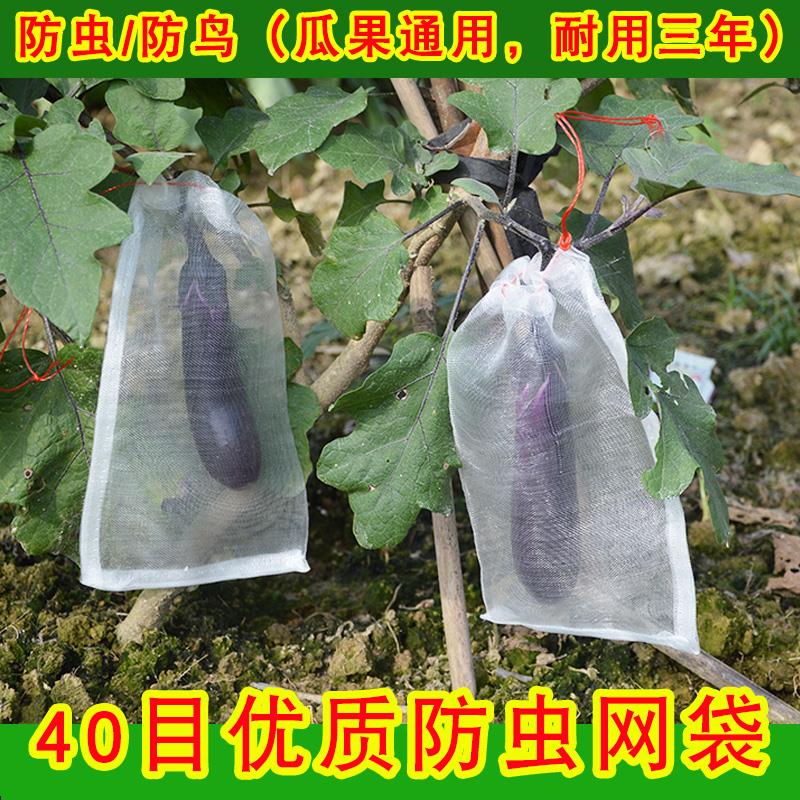 Insect Pest control Nylon mesh bag Melon and fruit Drosophila melanogaster Strainer Seed soaking grape Fruit baggingin the Flower delivery/Flowers simulation/Plants gardening , Gardening supplies , Other Garden Supplies category - from Buy2taobao.com to provide professional Taobao agent buy service