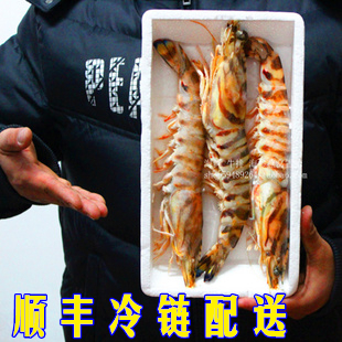  鲜活海鲜 新鲜 大虾 虾 海虾 斑节虾 纯野生 龙虾 小龙虾 水产品