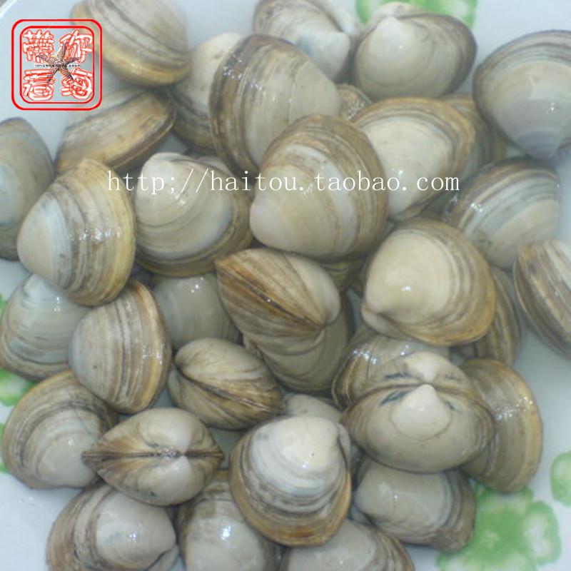 新品大促 连云港 海鲜水产鲜活 白蛤 海鲜活鲜蛤蜊鲜活 蛤蜊在类目 水产肉类/新鲜蔬果/熟食, 海鲜/水产品/制品, 贝类, 贝类制品中 - 来自Buy2taobao.com提供专业的淘宝代购服务