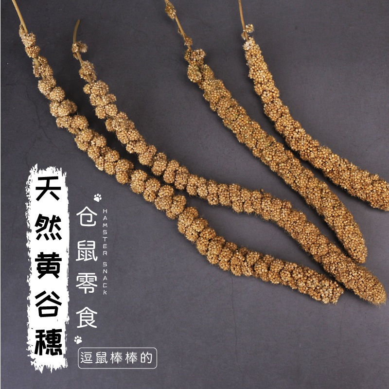 仓鼠零食 仓鼠玩具 天然黄谷穗 谷穗 增加粗纤维 逗鼠棒一根|ruв категории животное/Животное питание и принадлежностей, хомяк класса и других малых животное, корма/закуски - от Buy2taobao.com для оказания профессиональной услуги покупки агента Taobao