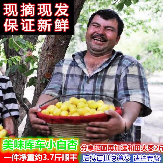 现货4斤新疆小白杏新鲜库车小白杏鲜果轮台杏子水果白杏顺丰包邮在类目 水产肉类/新鲜蔬果/熟食, 新鲜水果, 其它中 - 来自Buy2taobao.com提供专业的淘宝代购服务