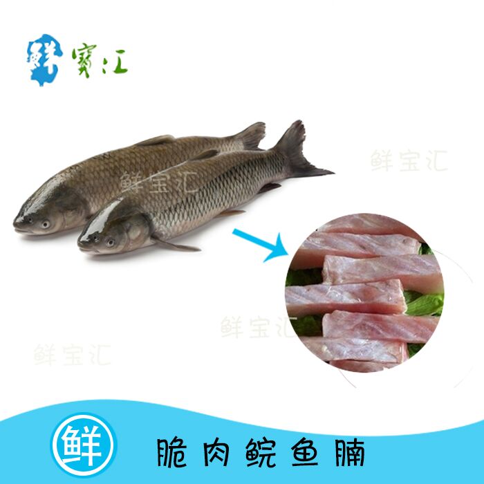 鮮寶彙 中山脆肉皖 脆鲩魚 香脆魚腩 新鮮皖魚 火鍋食材500g在類目 水產肉類/新鮮蔬果/熟食, 海鮮/水產品/製品, 淡水魚類中 - 來自Buy2taobao.com提供專業的淘寶代購服務