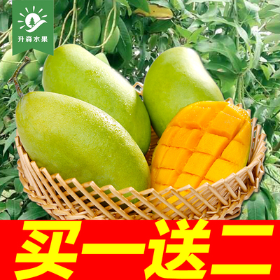 【升森水果】青皮甜青芒果 越南进口玉芒热带新鲜水果批发包邮
