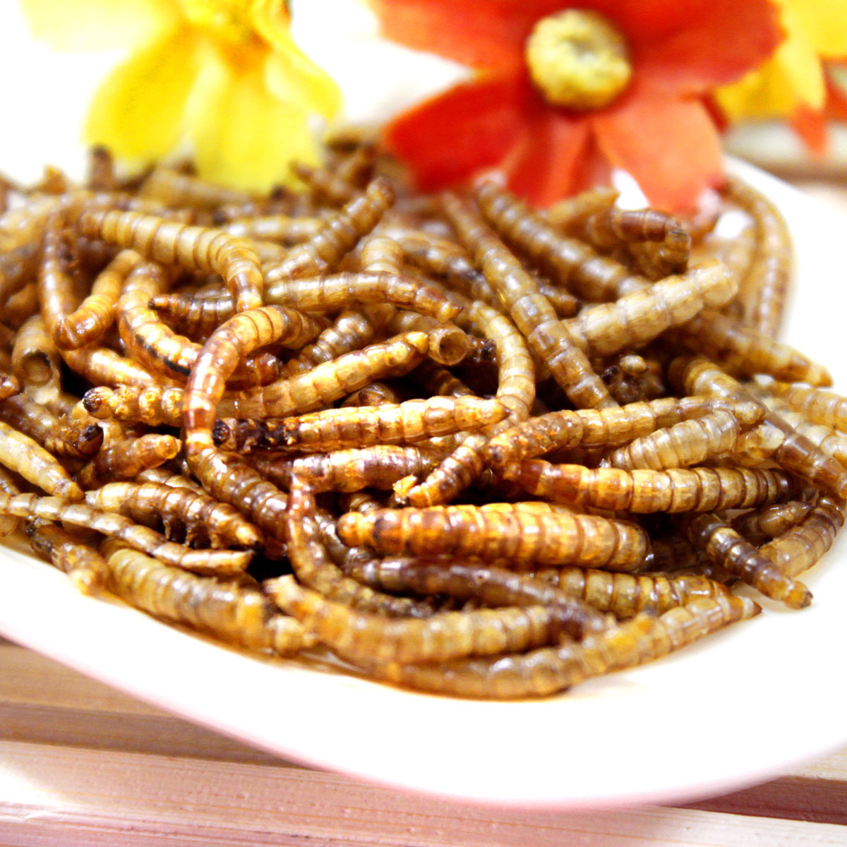 寵物倉鼠糧金絲熊零食面包蟲幹黃粉蟲幹龍貓倉鼠糧魚飼料35g用品在類目 寵物/寵物食品及用品, 倉鼠類及其它小寵, 飼料/零食中 - 來自Buy2taobao.com提供專業的淘寶代購服務