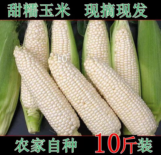现摘白糯玉米包谷新鲜玉米棒自种包谷甜糯粘玉米非水果生玉米带皮在类目 粮油米面/南北干货/调味品, 米/面粉/杂粮, 玉米中 - 来自Buy2taobao.com提供专业的淘宝代购服务
