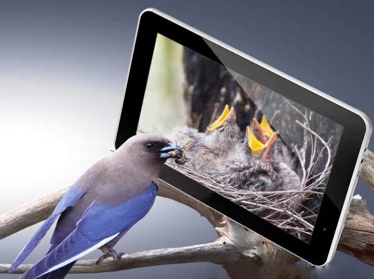 Планшет To be deleted 9.7 4.1 Tablet PC M970 Планшет To be deleted 9.7 4.1 Tablet PC M970