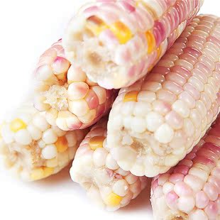  上海12.30迷你紫糯玉米10斤 新鲜杂粮 嫩软香糯 健康食品