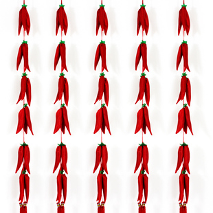  仕彩 18个辣椒串 新年乔迁大红辣椒串 满堂红红火火辣椒串