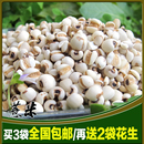薏米 福建浦城精选小薏米250g 薏仁 薏米仁 薏仁米 新货 三袋包邮 薏米 福建浦城精选小薏米250g 薏仁 薏米仁 薏仁米 新货 三袋包邮