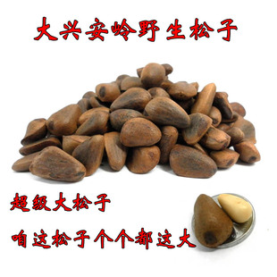  东北 大兴安岭 野生松子 有机食品  红松松子 250g
