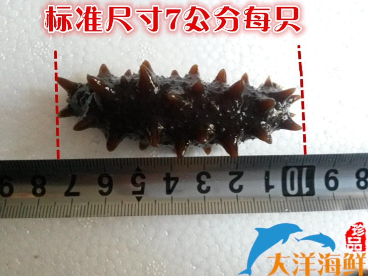 即食海參刺參遼參大連參野生參高壓參30只包郵順豐不新鮮退在類目 水產肉類/新鮮蔬果/熟食, 海鮮/水產品/製品, 海蔘中 - 來自Buy2taobao.com提供專業的淘寶代購服務