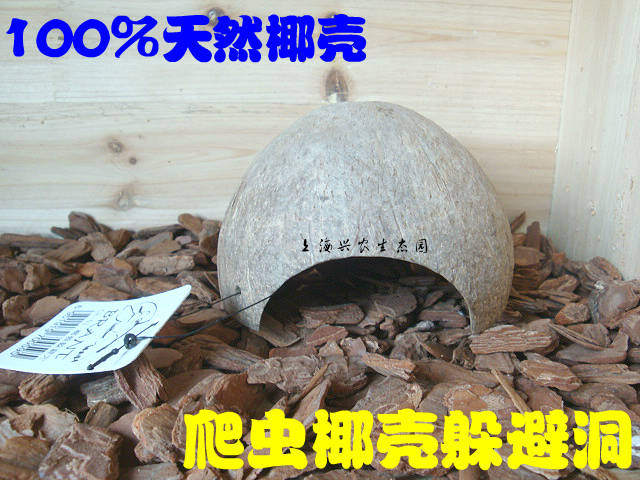 Reptile Supplies Coir avoid Cave Coir Spider Scorpion Climb pet Spider Scorpion Gecko Yellow edgein the Pet/Pet food and supplies , Reptile/Insects and supplies Ming , Reptile/Insect appliances Ming category - from Buy2taobao.com to provide professional Taobao agent buy service