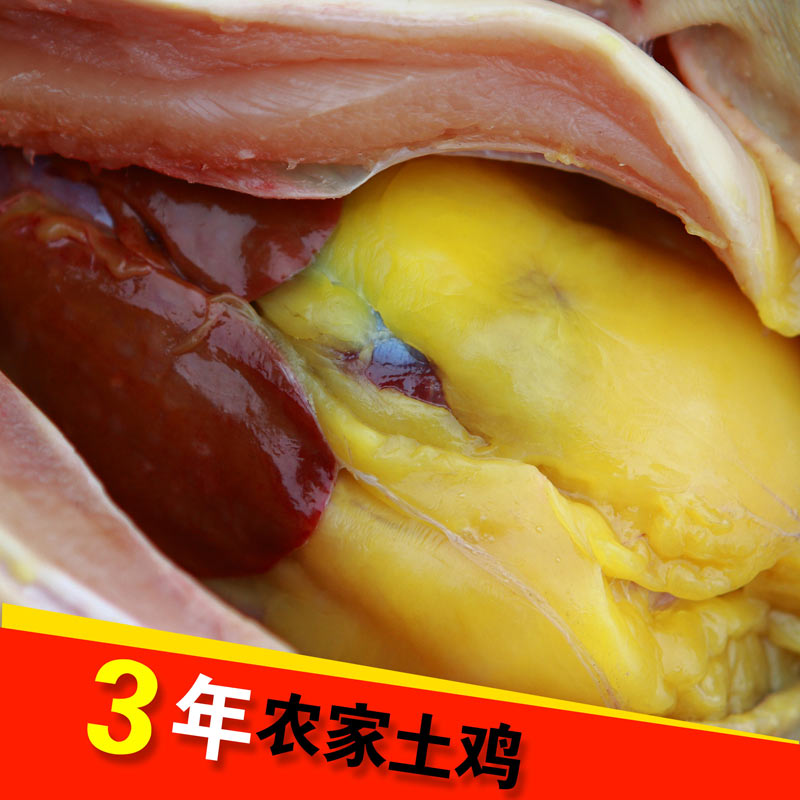 3年散養土雞蘇北農家散養老母雞草雞柴雞散養雞農家自養笨雞在類目 水產肉類/新鮮蔬果/熟食, 生肉/肉製品, 雞肉類, 整雞中 - 來自Buy2taobao.com提供專業的淘寶代購服務