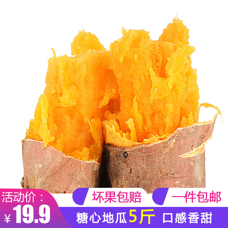 新鲜六鳌红薯福建黄心地瓜番薯香甜糯软5斤包邮农家自种宝宝辅食|ruв категории водной мясо/свежие фрукты и овощи/еда, свежие овощи/овощной продукции, свежие овощи, сладкий картофель - от Buy2taobao.com для оказания профессиональной услуги покупки агента Taobao