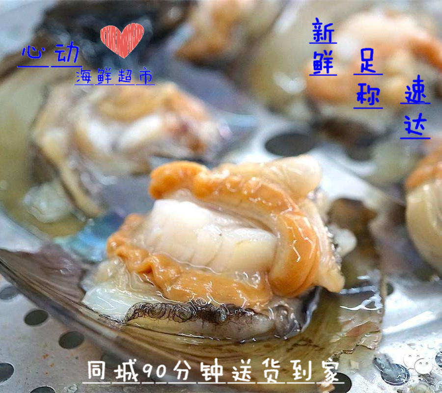 Nanning Heart Seafood Live fresh Belt screw 1in the Aquatic meat/Fresh fruits and vegetables/Cooked , Seafood/Aquatic/Product , Shellfish , Shellfish Products category - from Buy2taobao.com to provide professional Taobao agent buy service