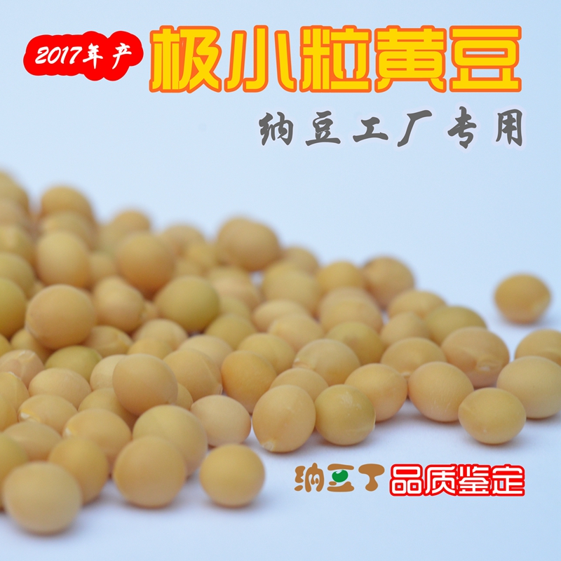 2017新纳豆工厂纳豆专用极小粒黄豆非转基因小粒黄豆纳豆专用在类目 粮油米面/南北干货/调味品, 米/面粉/杂粮, 豆类, 黄豆中 - 来自Buy2taobao.com提供专业的淘宝代购服务