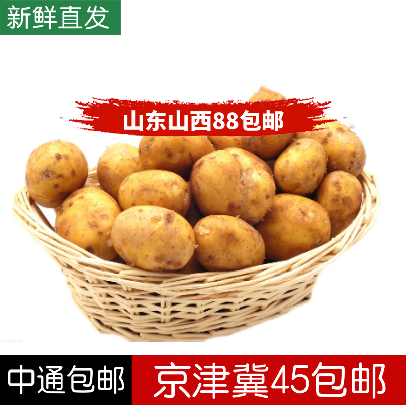 新鮮小土豆 迷妳小土豆 洋芋 馬鈴薯 稍大 京津冀45包郵中通在類目 水產肉類/新鮮蔬果/熟食, 新鮮蔬菜/蔬菜製品, 新鮮蔬菜, 土豆中 - 來自Buy2taobao.com提供專業的淘寶代購服務