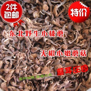  东北黑龙江 无根野生榛蘑 小鸡炖蘑菇  野山菌 干货 两件包邮特价