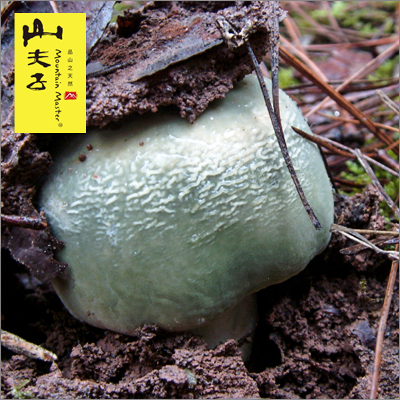 【山夫子】云南野生青头菌(亲脸菇) 挑选青头菌100g 干货野生菌在类目 粮油米面/南北干货/调味品, 南北干货/肉类干货, 干货/土特产, 香菇类中 - 来自Buy2taobao.com提供专业的淘宝代购服务