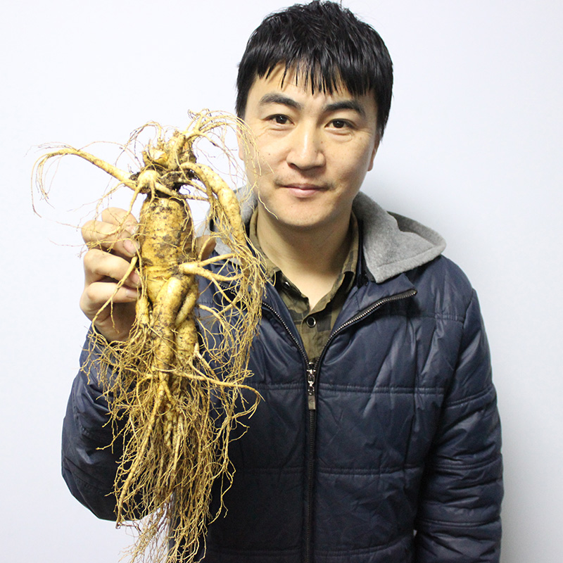 特大新鲜人参单支二两2支装送礼品长白山人参带土鲜参非野山参在类目 传统滋补营养品, 参类滋补品, 人参/园参中 - 来自Buy2taobao.com提供专业的淘宝代购服务