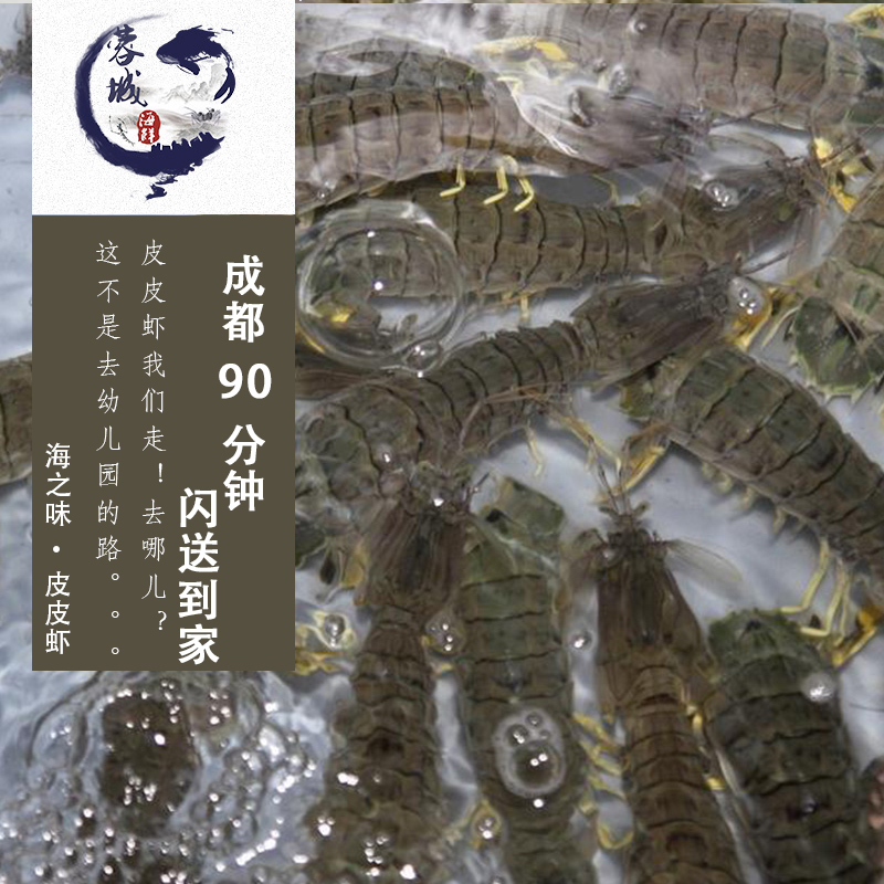 Chengdu Seafood Delivery Fresh Climb shrimp Pipi shrimp Mantis shrimp Pipa shrimp A Jin 15 Only aboutin the Aquatic meat/Fresh fruits and vegetables/Cooked , Seafood/Aquatic/Product , Shrimp , Huoxia category - from Buy2taobao.com to provide professional Taobao agent buy service