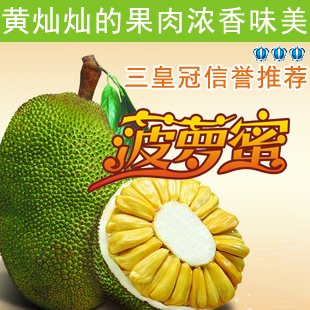  特价新鲜菠萝蜜海南/马来西亚1号/6号水果木菠萝超香甜20斤起包邮