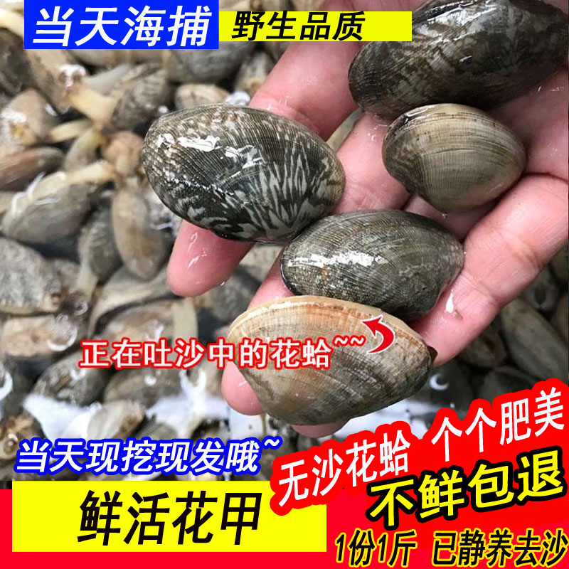 新鲜 花甲 鲜活 海鲜 蛤蜊 贝类 花蛤 白蛤 野生水产生鲜 已去沙在类目 水产肉类/新鲜蔬果/熟食, 海鲜/水产品/制品, 贝类, 贝类制品中 - 来自Buy2taobao.com提供专业的淘宝代购服务